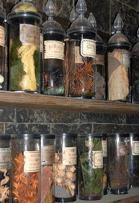 Dried herbs in jars