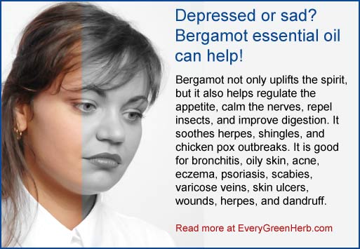 Bergamot Essential Oil