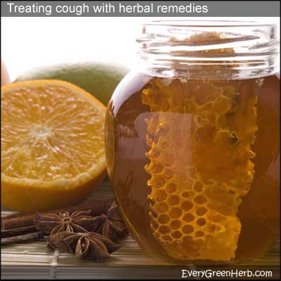 Lemon and honey are time honored home remedies for coughs.