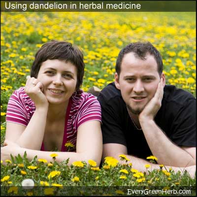 Two people in a field of dandelions