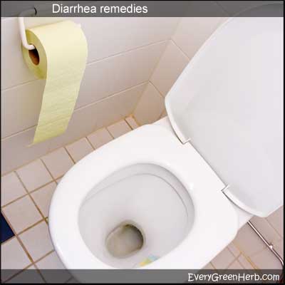 Treat diarrhea with herbs like peppermint