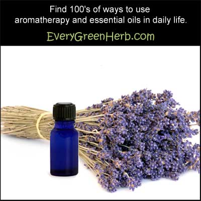 Lavender essential oil