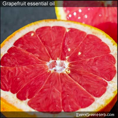 Grapefruit essential oil is very refreshing.