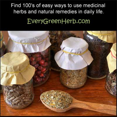 Medicinal herbs help to heal and protect the body.