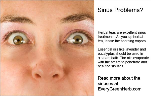 sinus pain compress