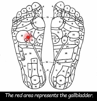 Foot reflexology chart showing the gallbladder