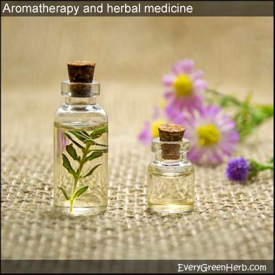 Aromatherapy and essential oils are often used in herbal medicine.