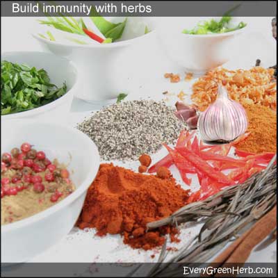 Herbs can build the immune system.